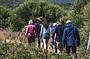 3 Day Ultimate Package (Great Ocean Road, Phillip Island & Wilsons Promontory) includes 2 nights shared accommodation