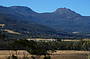 Huon Valley and Tree Tops Walk (Full Day)