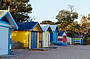 Explore the Mornington Peninsula WIne Tour