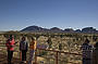 Overnight Dingo Dreaming Safari from Uluru